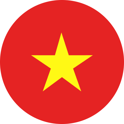 vn